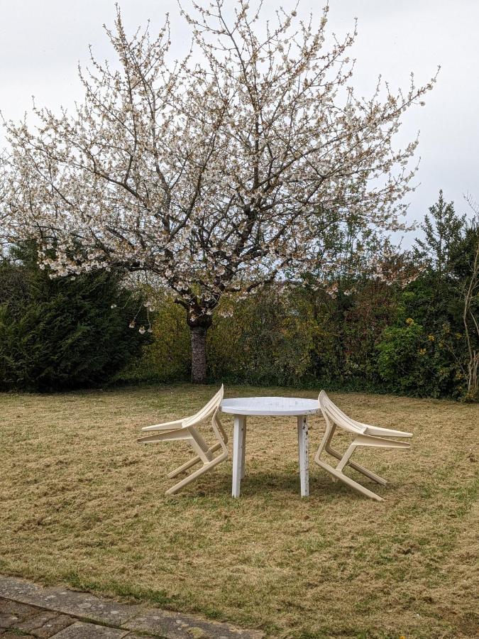 Au Petit Chalet D'Illiers Combray - Salle D'Eau Uniquement מראה חיצוני תמונה